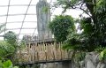 17 - Pflanzen aus dem tropischen Regenwald
